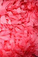 2025_NCCinderella_0643