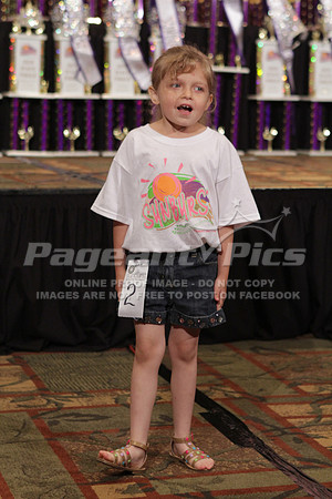 2015_NCSC_Sunburst_2450