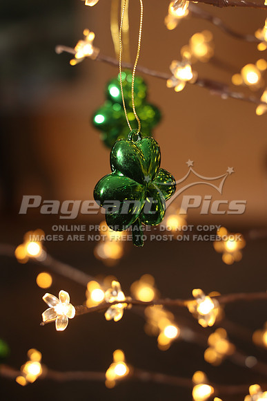 260318_Cotillion_002