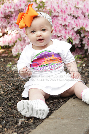 2013_Sunburst_GaState_1034