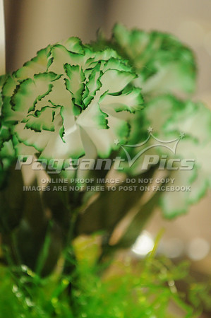 180318_JrCotillion_014
