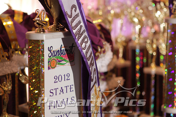 Sunburst_GaState_2012_3034