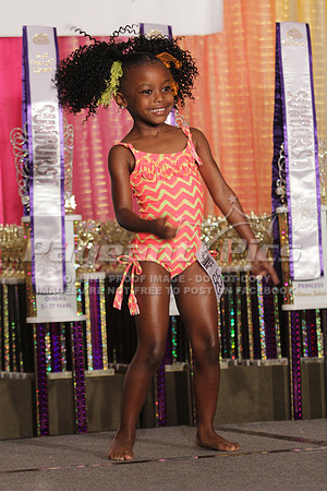 2014_Sunburst_NCSC_1121