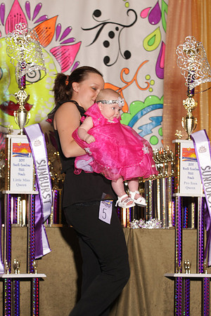 NCSC_Sunburst2011_2190