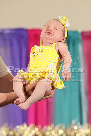 2018_NCSC_Sunburst_1517