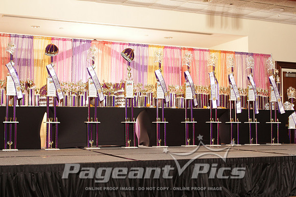 Sunburst_GaState_2012_3022
